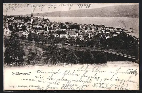 AK Wädensweil, Ortsansicht am See mit Dampfern