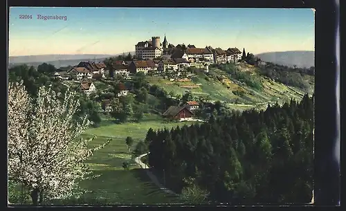 AK Regensberg, Ortsansicht im Frühling