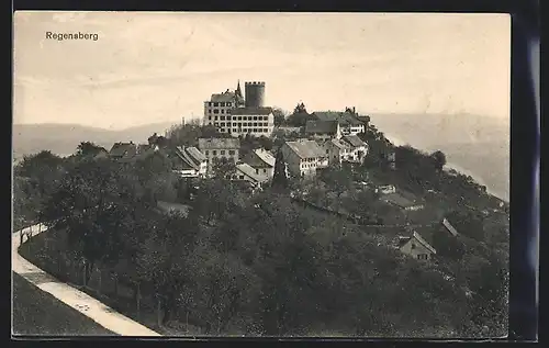AK Regensberg, Ortsansicht mit Schloss auf Hügel
