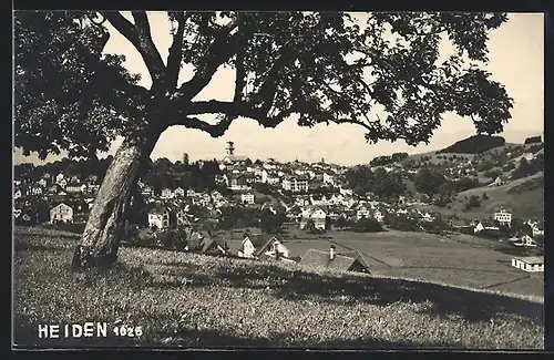AK Heiden, Ortsansicht von Hügelwiese