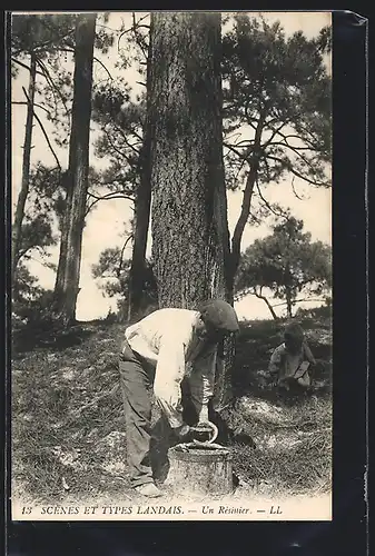 AK Un Résinier, Harzsammler