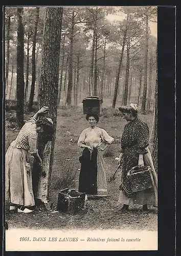 AK Frauen entfernen die Rinde von Bäumen