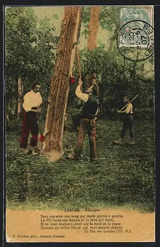 AK Landes, Resiniers, Forstwirtschaft