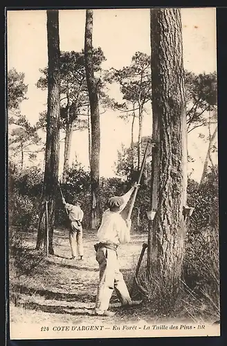 AK En Foret, La Tailledes Pins, Männer sammeln Harz, Forstwirtschaft