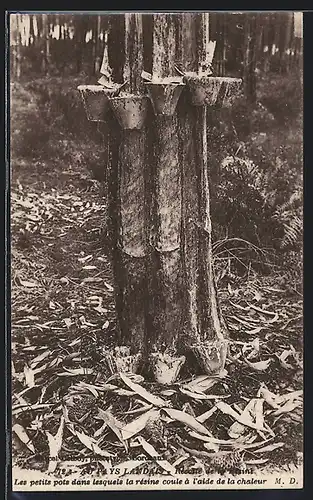 AK Au Pays Landies, Recolte de la Resine, Forstwirtschaft