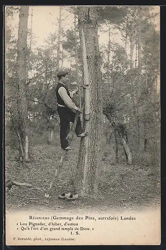AK Landes, Résiniers, Gemmage des Pins autrefois, Forstwirtschaft
