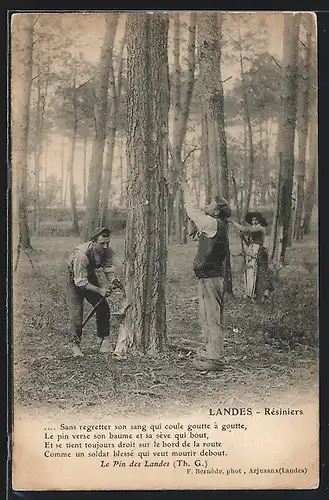 AK Landes, Résiniers, Harzer bei der Arbeit