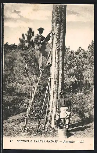 AK Landais, Resiniers, Forstwirtschaft
