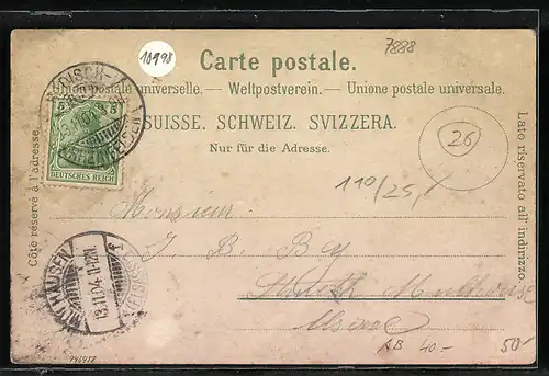 AK Rheinfelden, Totalansicht, Salinenstrasse