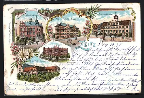 Lithographie Zeitz, Stiftsgymnasium, Schulen am Steinsgraben, Pestalozzistrasse, Altmarkt