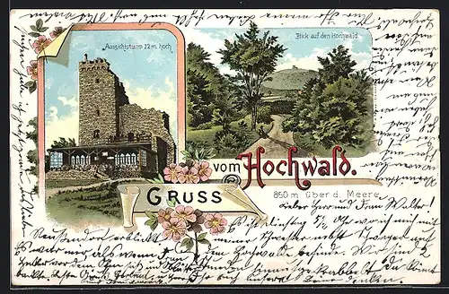 Lithographie Oybin, Gasthaus Hochwald mit Aussichtsturm, Hochwald aus der Ferne