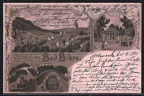 Lithographie Bad Bibra, Heilands-Quelle, Schwester-Quelle, Brunnenhalle, Ortsansicht