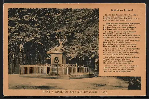 AK Thale-Treseburg i. Harz, Partie an Pfeil`s Denkmal