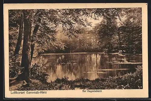 AK Gernrode-Harz, Der Hagentalteich im Wald