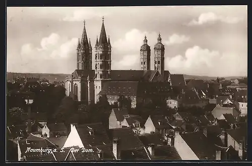 AK Naumburg, Blick über die Dächer und zum Dom