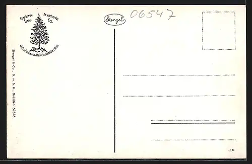 AK Stolberg i. Harz, Blick v. Trauermantel