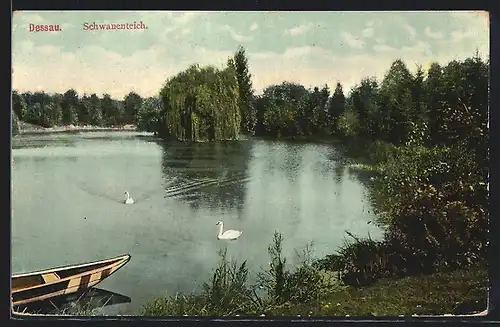 AK Dessau, Schwanenteich mit Boot und Trauerweide