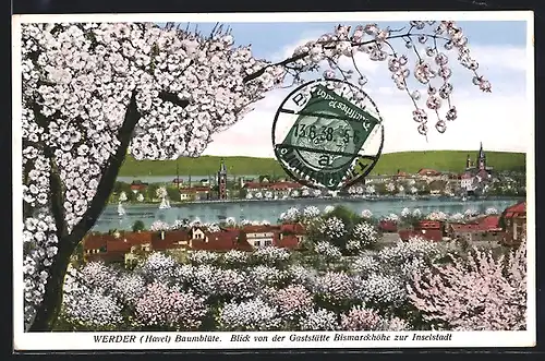 AK Werder (Havel), Blick von der Gaststätte Bismarckhöhe zur Inselstadt im Frühling