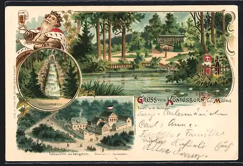 Lithographie Mainz, Gasthaus Königsborn aus der Vogelschau, Teich, Anlagen und Wasserfall