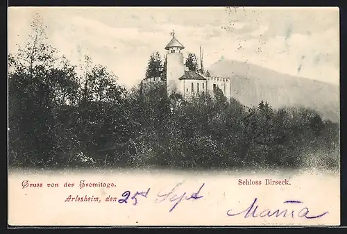 AK Arlesheim, Blick auf Schloss Birseck