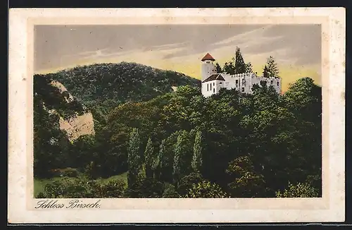 AK Birseck, Schloss auf bewaldetem Hügel