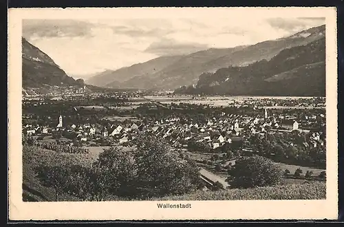 AK Wallenstadt, Totalansicht von Berg aus