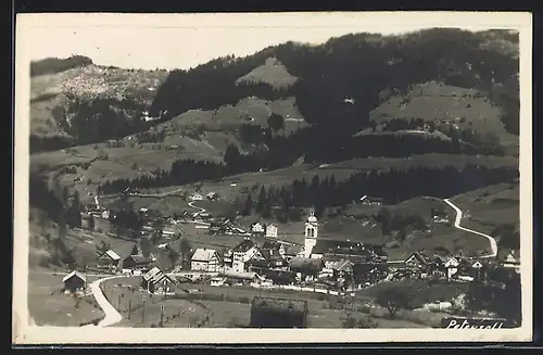 AK Peterzell, Ortsansicht mit Kirche gegen Berg