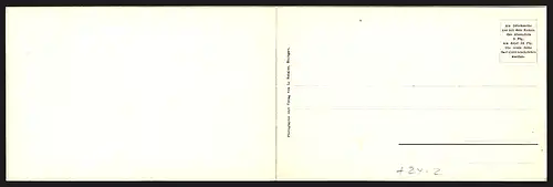 Klapp-AK Ilsfeld, Panoramaansicht der Brandstätte