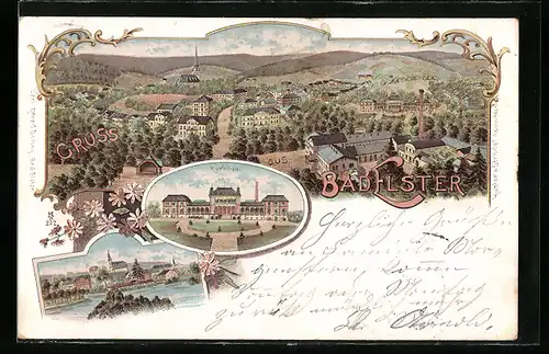 Lithographie Bad Elster, Kurhotel, Louisa See, Totalansicht