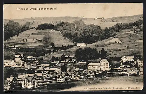AK Wald-Schönengrund, Ortsansicht aus der Vogelschau
