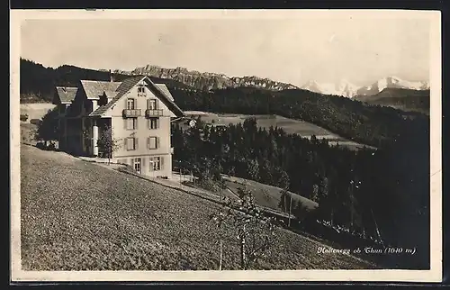 AK Haltenegg ob Thun, Ortspartie mit Hotel