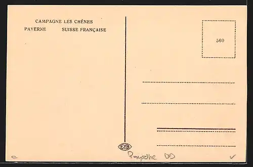 AK Payerne /Suisse Francaise, Campagne Les Chênes, Salle d`études