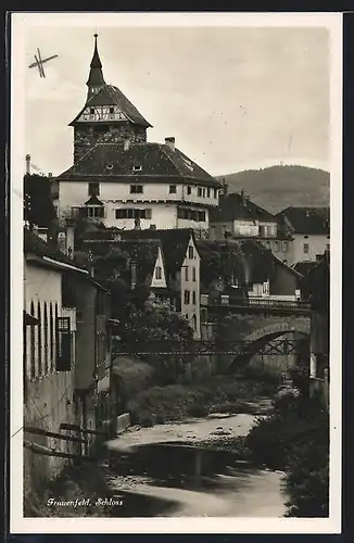 AK Frauenfeld, Schloss mit Brücke