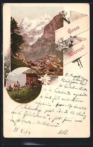 AK Mürren, Ortsansicht mit gewaltigem Bergpanorama, Almhütte mit Bauern und Vieh