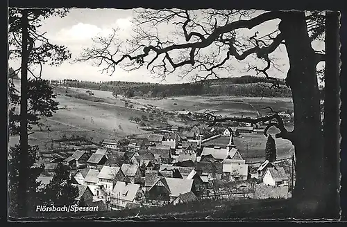 AK Flörsbach /Spessart, Teilansicht mit Bäumen