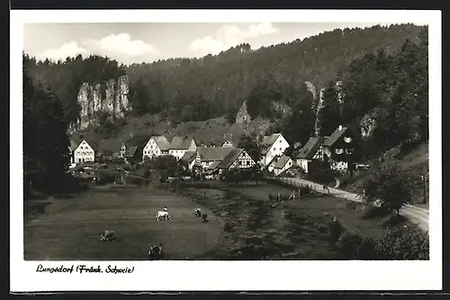 AK Lungsdorf / Fränk. Schweiz, Panoramablick auf das Dorf