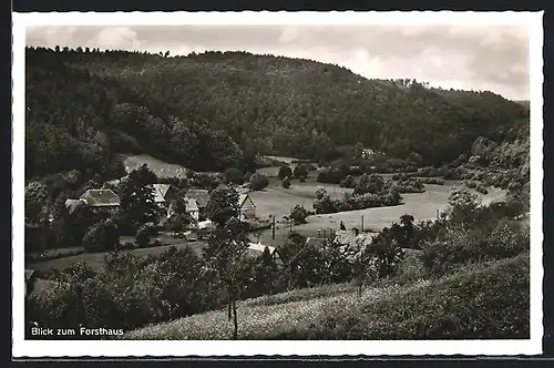 AK Krausenbach, Blick zum Forsthaus