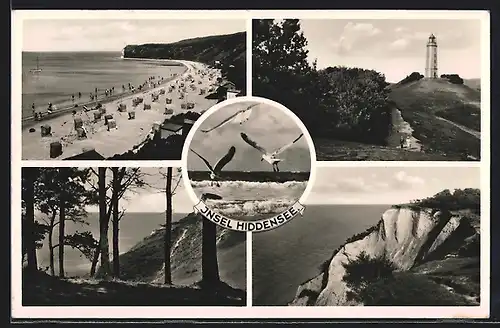 AK Hiddensee, Leuchtturm, Strandleben, Möwen, Inselpartien