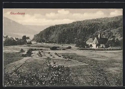 AK Amorsbrunn, Ortspartie mit Kirche