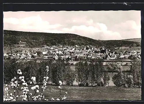AK Röllfeld /Main, Panorama im Frühling