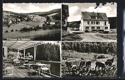 AK Wildensee / Spessart, Gasthaus-Pension Waldfrieden, verschiedene Ansichten