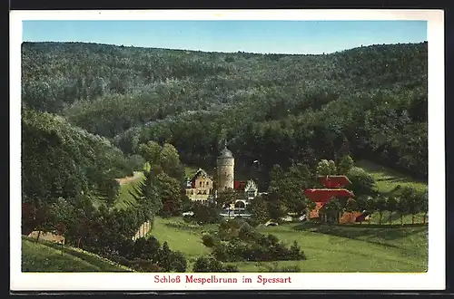 AK Mespelbrunn, Gesamtansicht