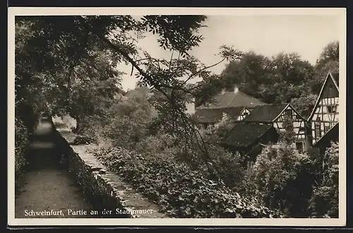 AK Schweinfurt, Partie an der Stadtmauer