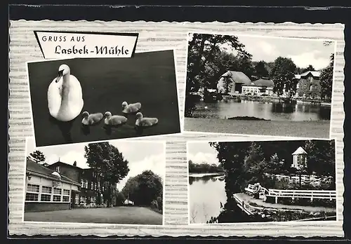 AK Lasbek bei Bargteheide, Gasthaus Lasbeker Mühle W. Grewe, Schwanen-Familie