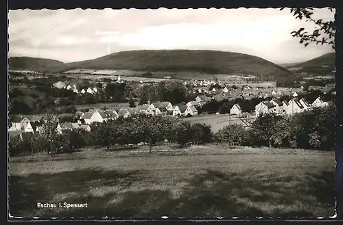 AK Eschau /Spessart, Gesamtansicht mit Umgebung