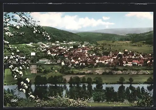 AK Röllfeld /Main, Gesamtansicht mit Umgebung aus der Vogelschau