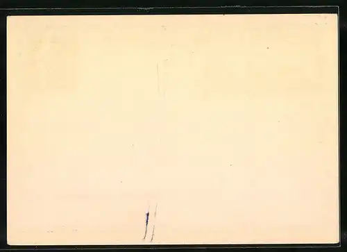 AK Potsdam, Blick auf die Garnisonkirche, Eröffnung des Reichstags 1933, Ganzsache