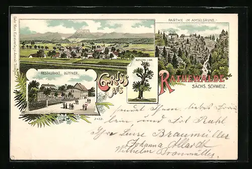 Lithographie Rathewalde /Sächs. Schweiz, Restaurant Büttner, Napoleons Linde, Partie im Amselgrund