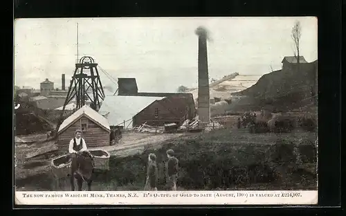 AK Thames, Waiotahi Mine, Bergbau
