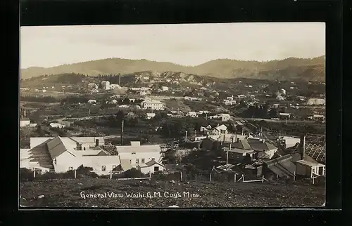 AK Waihi, General View, GM Coy`s Mine